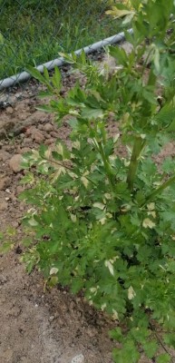 Foto / IMG-20230505-WA0008.jpg IMG-20230505-WA0008.jpg