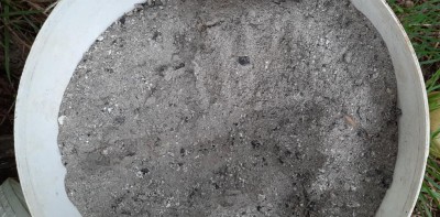 2 Cenere .jpg (126.22 KiB) Osservato 1409 volte 2 Cenere .jpg