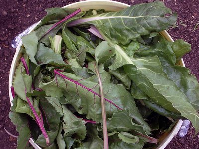 IMGP8501.jpg (196.13 KiB) Osservato 1063 volte IMGP8501.jpg