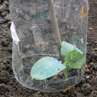 IMGP8500.jpg (246.66 KiB) Osservato 1063 volte IMGP8500.jpg