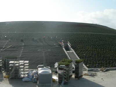 vulcano_14.jpg (24.64 KiB) Osservato 836 volte vulcano_14.jpg