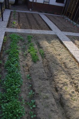 IMGP0960.JPG (150.06 KiB) Osservato 2034 volte IMGP0960.JPG