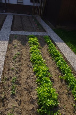 IMGP0961.JPG (145.57 KiB) Osservato 2034 volte IMGP0961.JPG