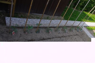 IMGP0962.JPG (149.88 KiB) Osservato 2034 volte IMGP0962.JPG