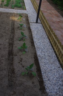 IMGP0963.JPG (148.85 KiB) Osservato 2034 volte IMGP0963.JPG