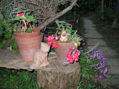 ah ecco..lì dietro fa capolino l'insalata.jpg (132.32 KiB) Osservato 1057 volte ah ecco..lì dietro fa capolino l'insalata.jpg