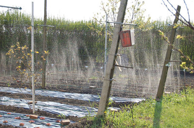 irrigazione-055.jpg