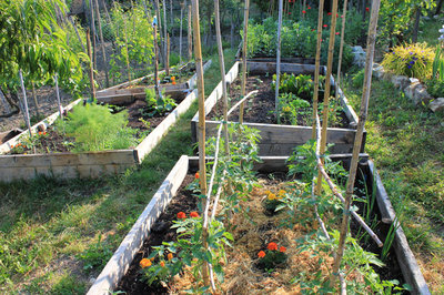 casse con prevalenza di orticole.jpg (227.19 KiB) Osservato 4733 volte casse con prevalenza di orticole.jpg