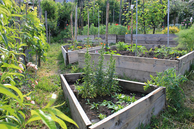 veduta dal basso.jpg (209.48 KiB) Osservato 4733 volte veduta dal basso.jpg