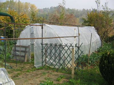 IMG_3873.JPG (88.82 KiB) Osservato 928 volte IMG_3873.JPG