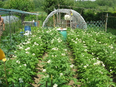 IMG_4309.JPG (97.69 KiB) Osservato 895 volte IMG_4309.JPG