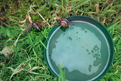 aperitivo in campagna!.jpg (193.23 KiB) Osservato 1199 volte aperitivo in campagna!.jpg