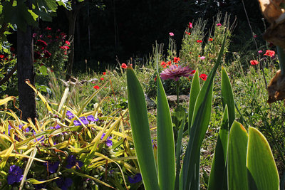 questo è l'ordine che mi piace.jpg (209.75 KiB) Osservato 990 volte questo è l'ordine che mi piace.jpg