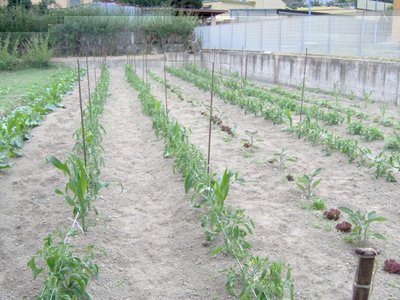 IM000042rid.jpg (119.74 KiB) Osservato 1242 volte IM000042rid.jpg