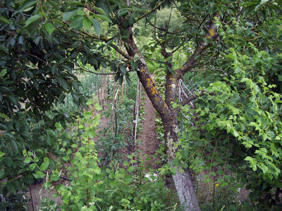 veduta dall’alto / IMGP9073.JPG IMGP9073.JPG