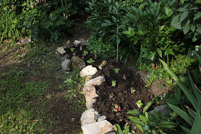 latughine.jpg (224.97 KiB) Osservato 1039 volte latughine.jpg