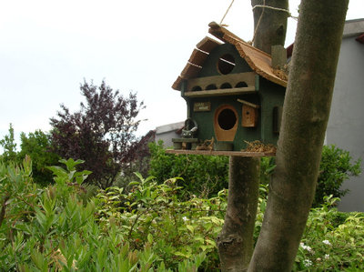 Torna!...'sta casa aspetta 'a te....!!!.jpg (116.52 KiB) Osservato 817 volte Torna!...'sta casa aspetta 'a te....!!!.jpg