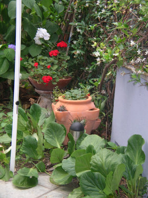 scendendo dalla cucina....jpg (205.6 KiB) Osservato 817 volte scendendo dalla cucina....jpg