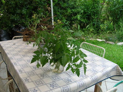 un omaggio a te Laviestebelle!.jpg (149.98 KiB) Osservato 817 volte un omaggio a te Laviestebelle!.jpg