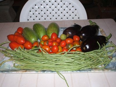 il raccolto del 28 giugno2011.JPG (52.47 KiB) Osservato 842 volte il raccolto del 28 giugno2011.JPG