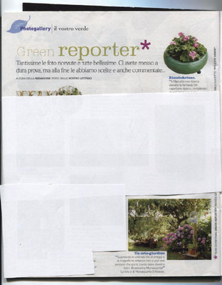 ...e il mio orto-giardino.jpg (116.18 KiB) Osservato 951 volte ...e il mio orto-giardino.jpg