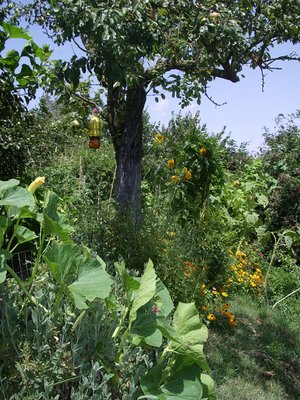 IMGP9436.JPG (258.64 KiB) Osservato 795 volte IMGP9436.JPG