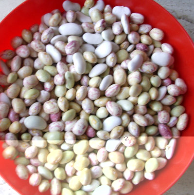 IMGP9464.JPG (166.76 KiB) Osservato 754 volte IMGP9464.JPG