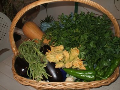 raccolto 26 ago 2011.JPG (57.04 KiB) Osservato 795 volte raccolto 26 ago 2011.JPG