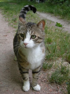 cleo30mag11.JPG (139.63 KiB) Osservato 886 volte cleo30mag11.JPG