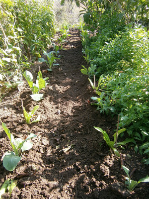 PA280041.jpg (264.37 KiB) Osservato 789 volte PA280041.jpg