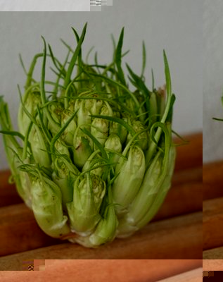 puntarelle-germogli.jpg (81 KiB) Osservato 841 volte puntarelle-germogli.jpg