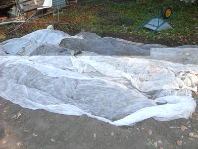 4copertura.JPG (124.99 KiB) Osservato 908 volte 4copertura.JPG