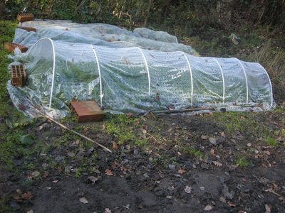 DSCN9651.JPG (149.3 KiB) Osservato 908 volte DSCN9651.JPG