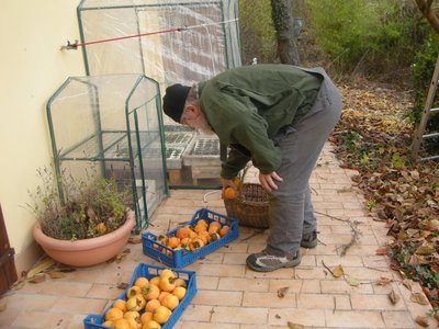 DSCN9812.JPG (125.62 KiB) Osservato 875 volte DSCN9812.JPG