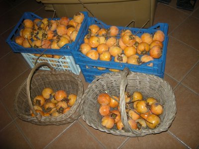 DSCN9820.JPG (110.94 KiB) Osservato 875 volte DSCN9820.JPG