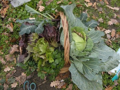 DSCN0134.JPG (160 KiB) Osservato 867 volte DSCN0134.JPG