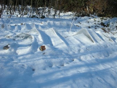 DSCN7747.JPG (109.17 KiB) Osservato 799 volte DSCN7747.JPG