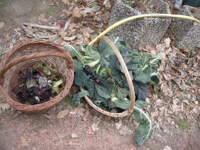 DSCN8103.JPG (171.31 KiB) Osservato 905 volte DSCN8103.JPG