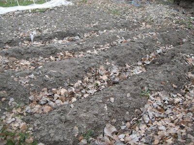 DSCN8104.JPG (177.98 KiB) Osservato 905 volte DSCN8104.JPG