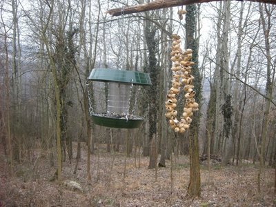 DSCN8115.JPG (169.38 KiB) Osservato 905 volte DSCN8115.JPG