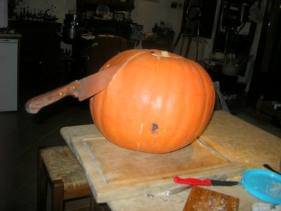 DSCN8118.JPG (67.76 KiB) Osservato 905 volte DSCN8118.JPG