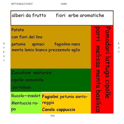 orto lato OVEST.jpg (132.08 KiB) Osservato 4181 volte orto lato OVEST.jpg