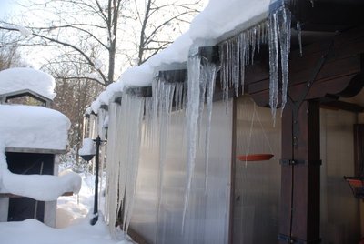 DSC_0122.JPG (91.4 KiB) Osservato 853 volte DSC_0122.JPG