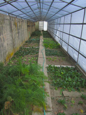 IMG_3092.jpg (95.84 KiB) Osservato 1058 volte IMG_3092.jpg