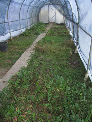 IMG_3090.jpg (111.72 KiB) Osservato 1058 volte IMG_3090.jpg