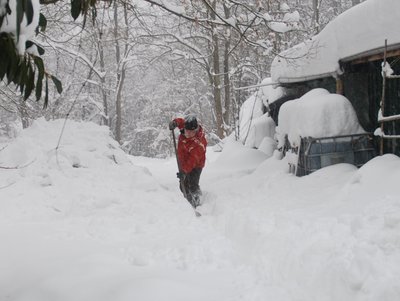 DSC_0157.JPG (334.46 KiB) Osservato 805 volte DSC_0157.JPG