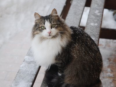 DSC_0135.JPG (431.63 KiB) Osservato 805 volte DSC_0135.JPG