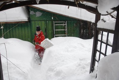 DSC_0219.JPG (81.33 KiB) Osservato 803 volte DSC_0219.JPG