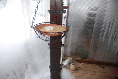 DSC_0239.JPG (83.62 KiB) Osservato 803 volte DSC_0239.JPG