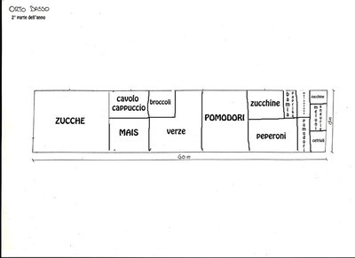 Immagine-orto-basso.jpg (27.28 KiB) Osservato 1012 volte Immagine-orto-basso.jpg